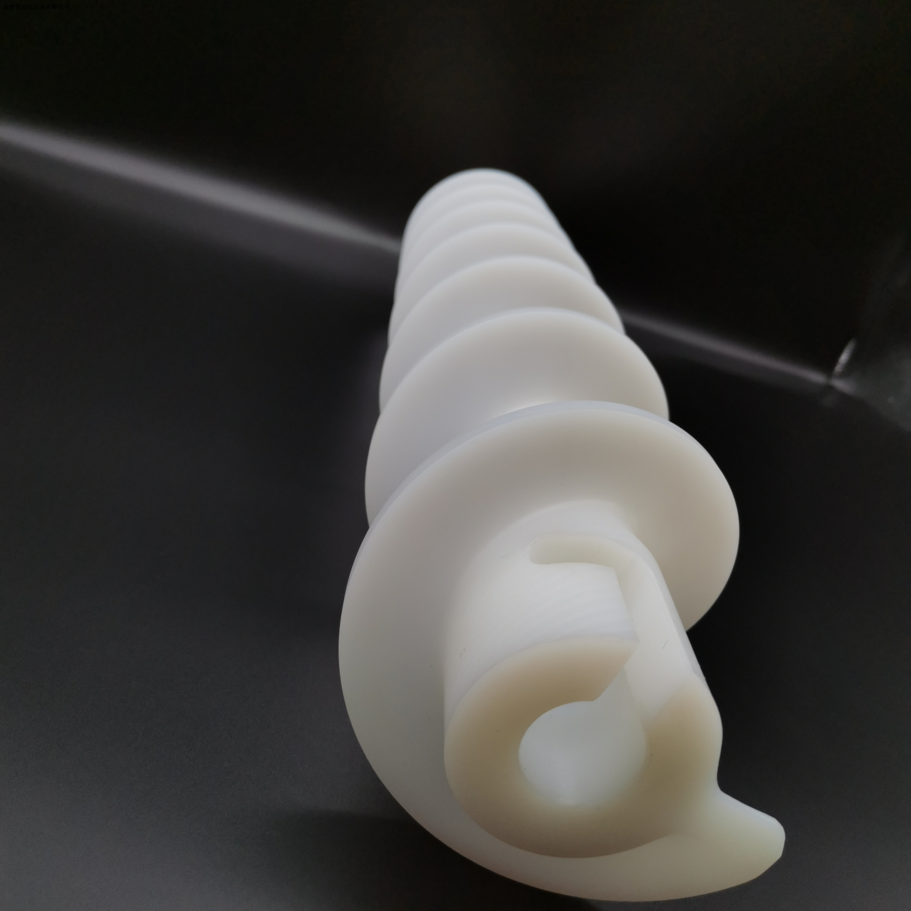 Plastic UHMW-PE Screw with Good Wear Resistance